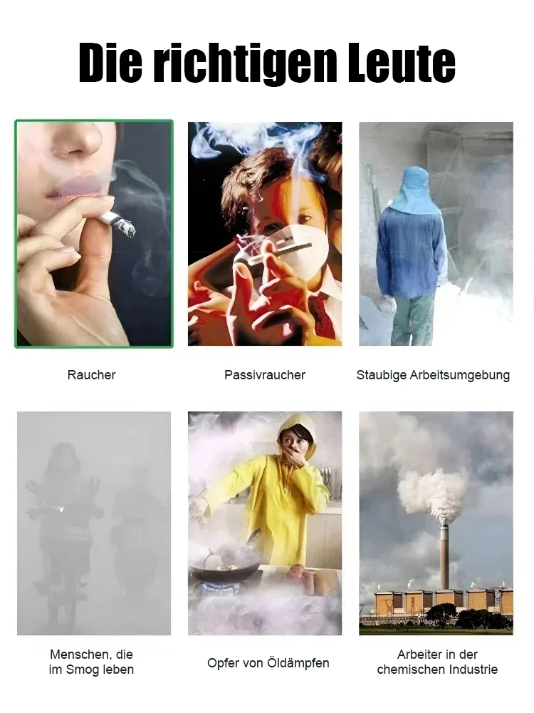 Purificador de Aire Natural - Elimina el 98% de Toxinas (Formaldehído), Filodendro