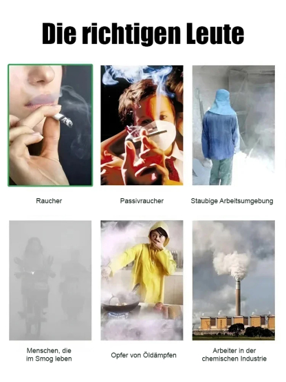 Purificador de Aire Natural - Elimina el 98% de Toxinas (Formaldehído), Filodendro