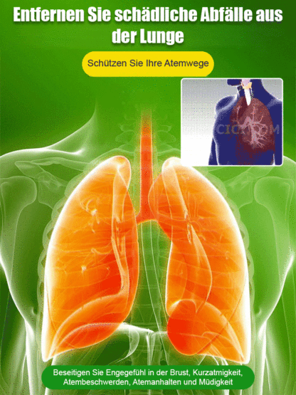 Purificador de Aire Natural - Elimina el 98% de Toxinas (Formaldehído), Filodendro