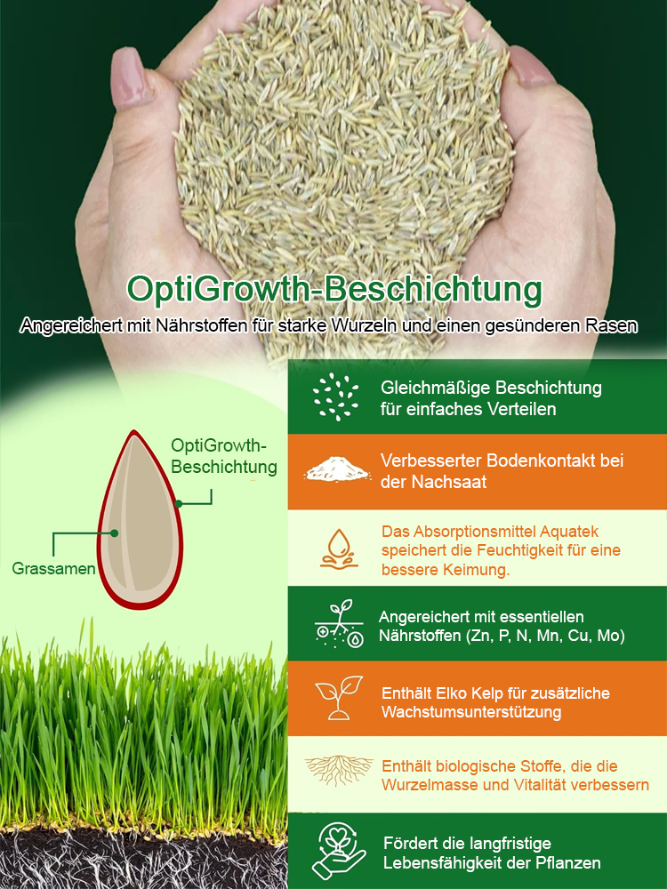 Rasensamen für ganzjährig grünen Rasen in nur 7 Tagen