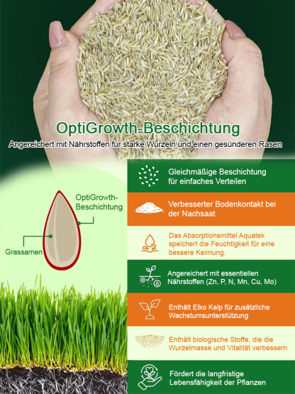 Rasensamen für ganzjährig grünen Rasen in nur 7 Tagen