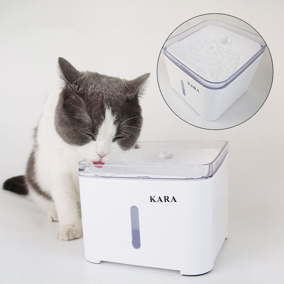 GlowPaws™ Automatic LED Cat Water Fountain