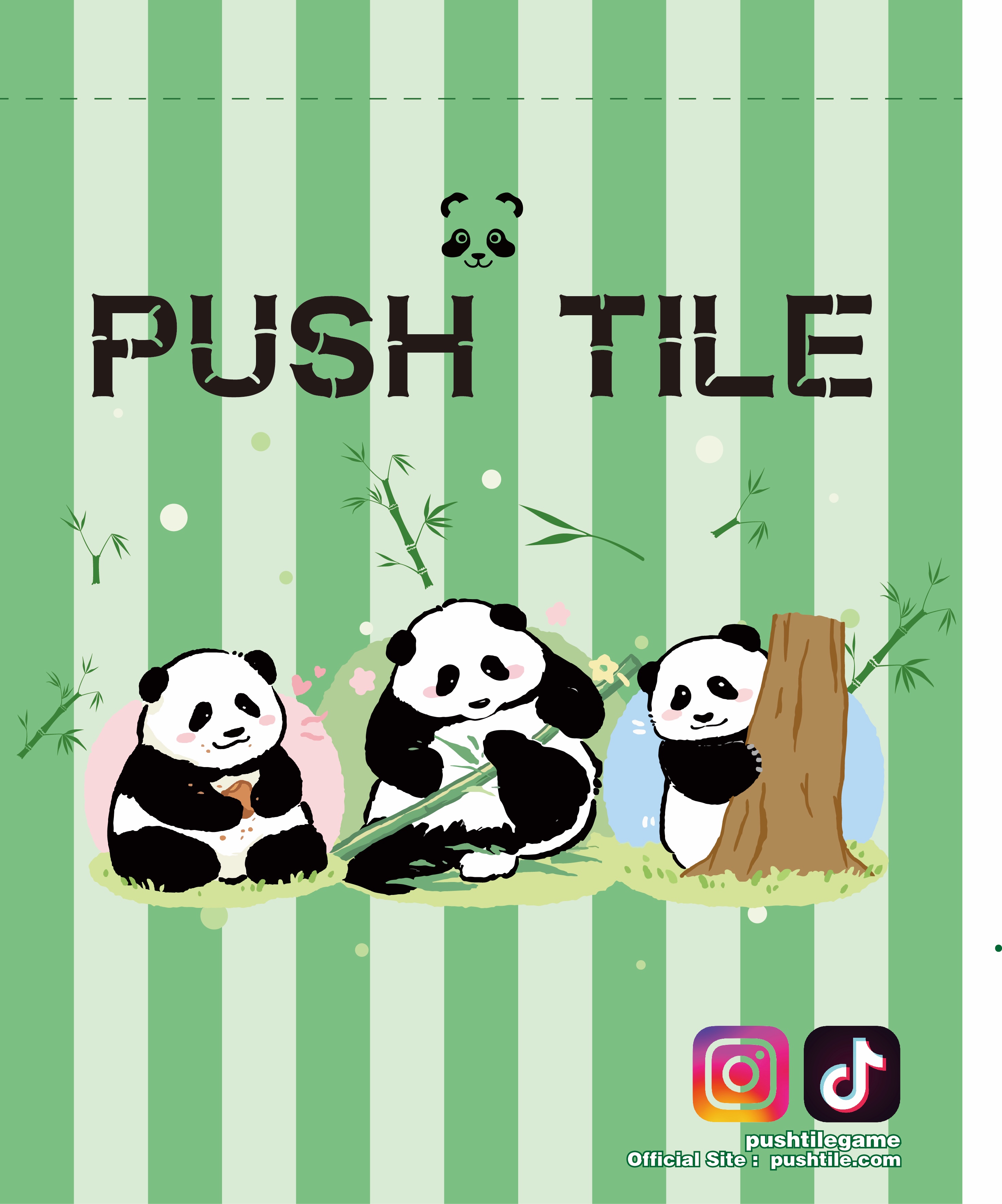 PushTile Premium Tile Bags 20x30 cm 