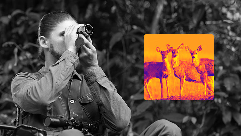 Thermal Imaging Scopes for Hunting Hogs and Coyotes