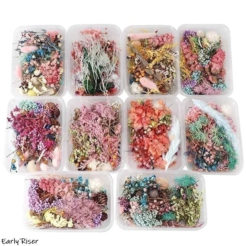 Early Riser Plant Flowers - Dried Flower Materials for DIY Aromatherapy Candles and Floating Decorations Natural Handmade