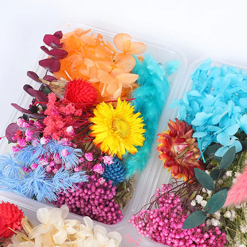 DIY Flowers Craft Decoration Mixed Color Box Enternal Dry Plants Flower Dried Flowers For Diy Accessories Jewelry Frame