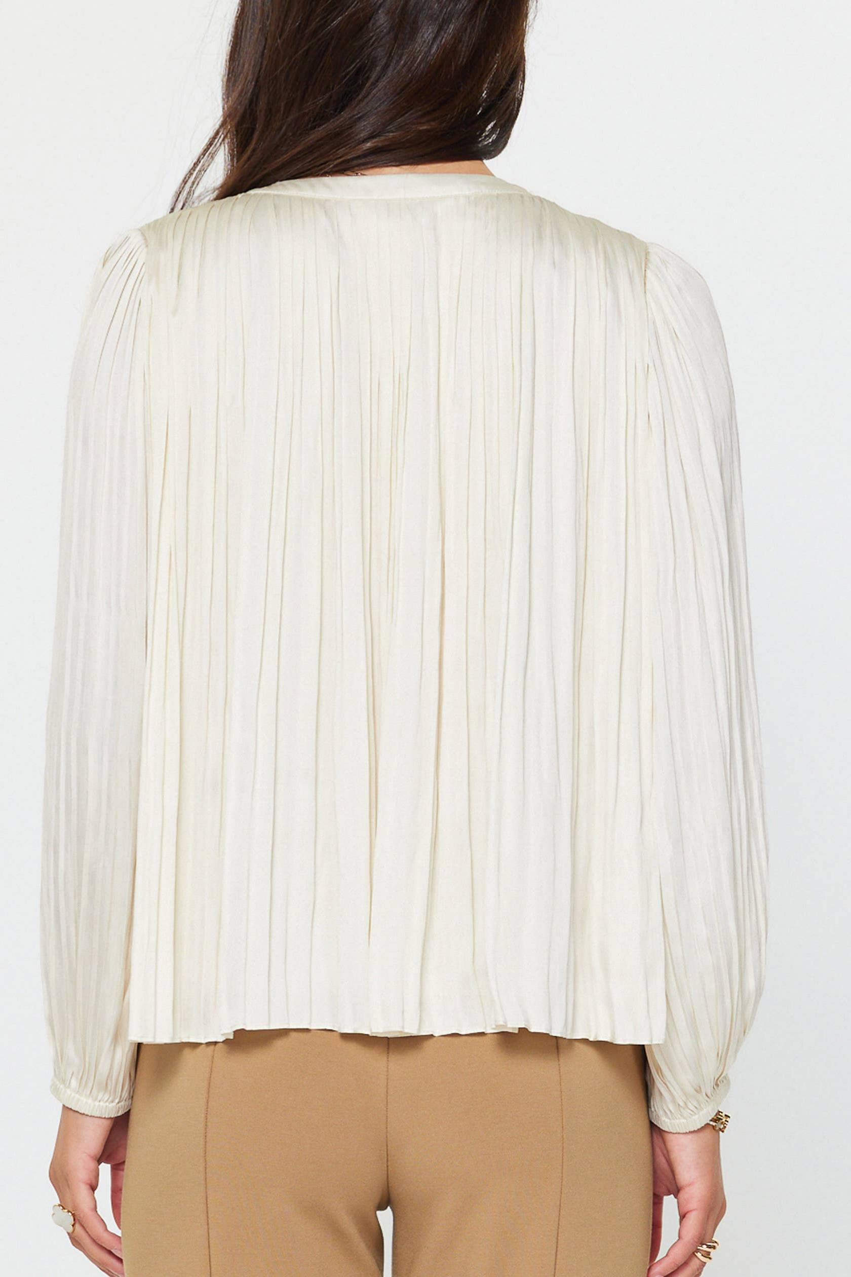 Long Sleeve Pleated Blouse