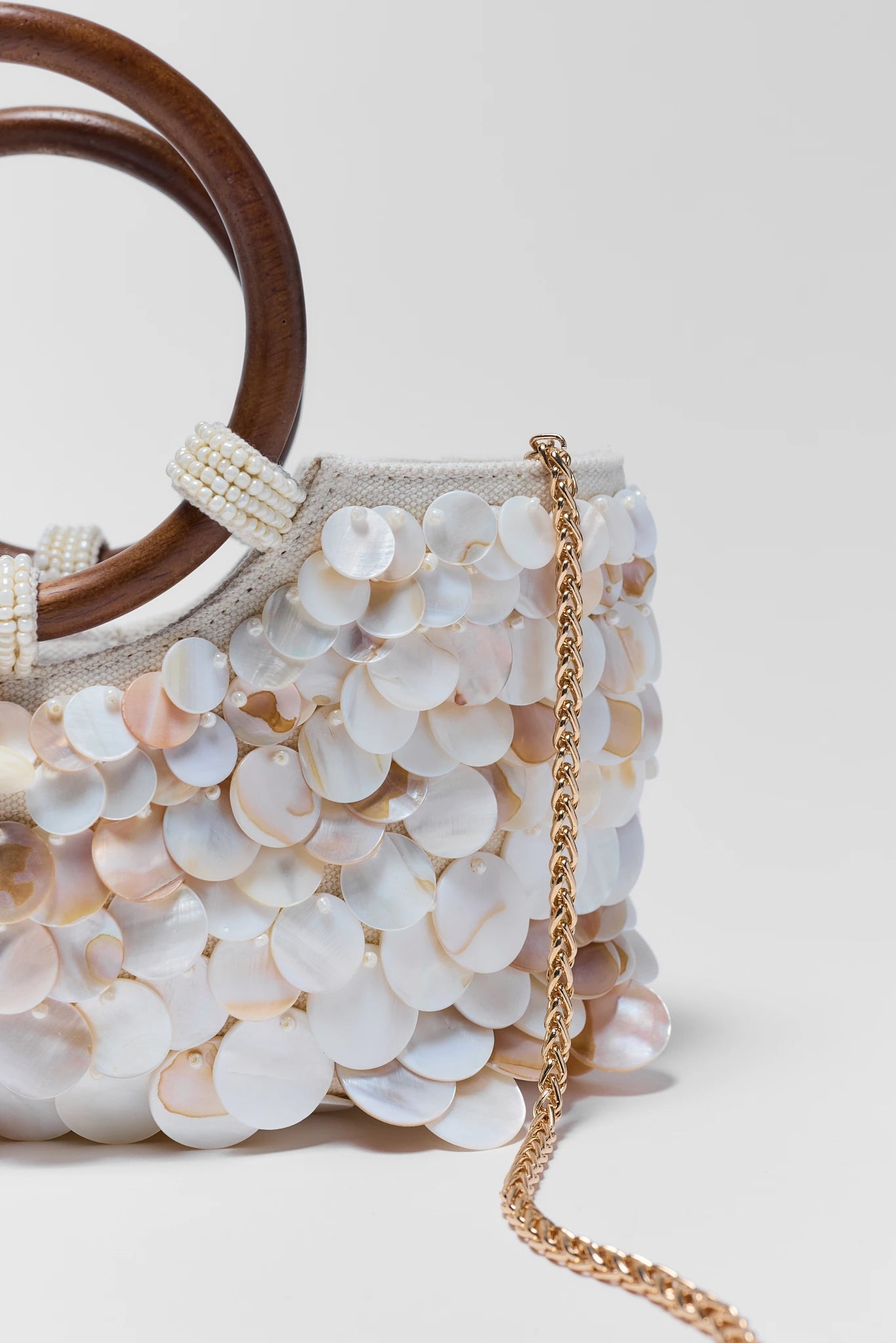 Ivory Shell Embellished Bag