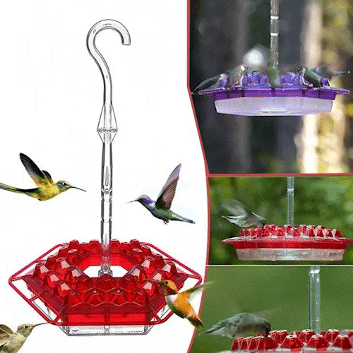 ❤️Mother's Day Sale 49% OFF-Rob'S HUMMINGBIRD FEEDER