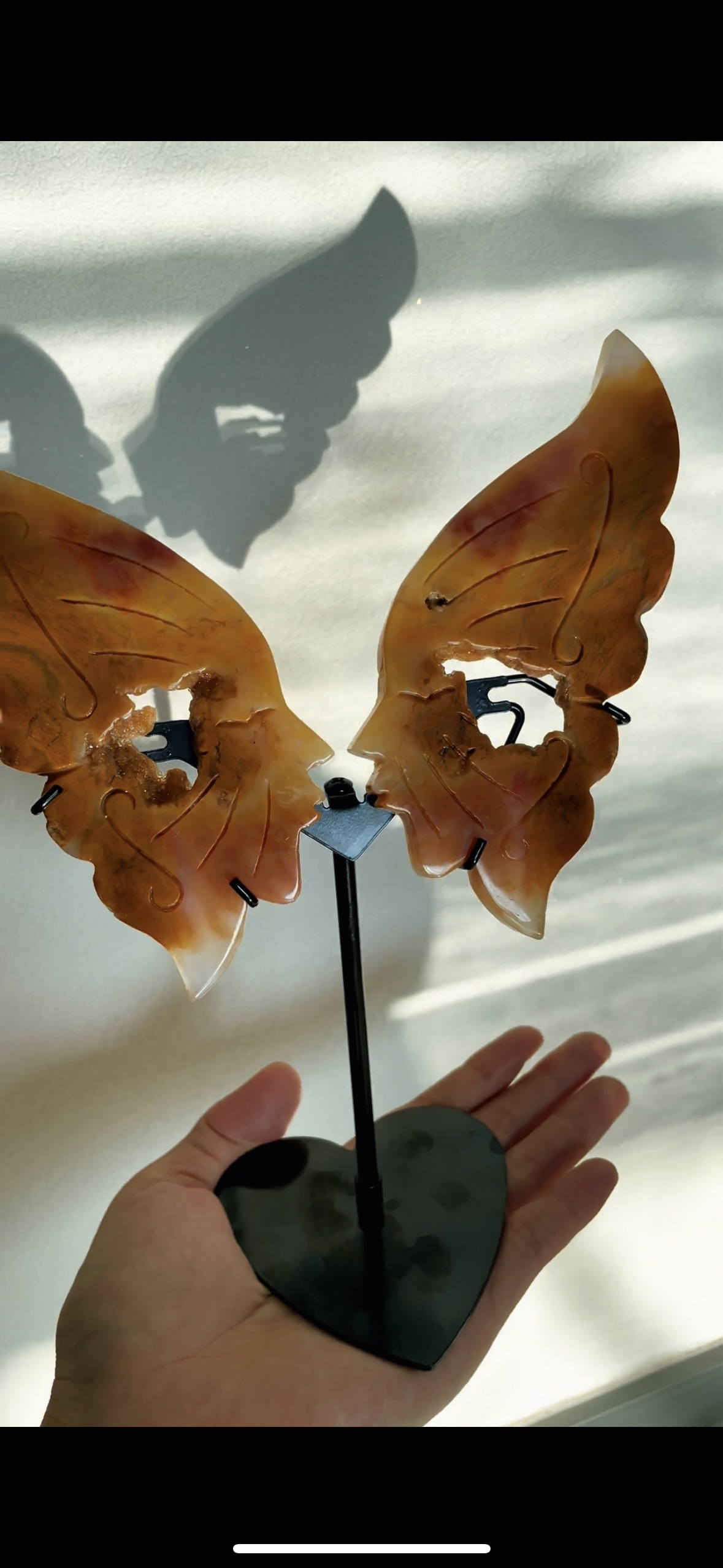 Yellow Chalcedony Agate Wings