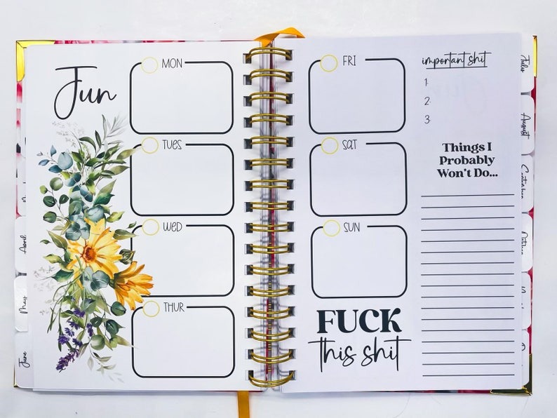 My Fucking Planner Sweary Planner