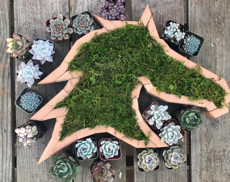 🦋Wooden Garden Arrangements-faux succulent wall planter