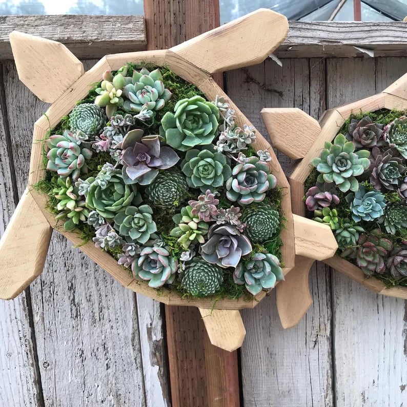 🦋Wooden Garden Arrangements-faux succulent wall planter