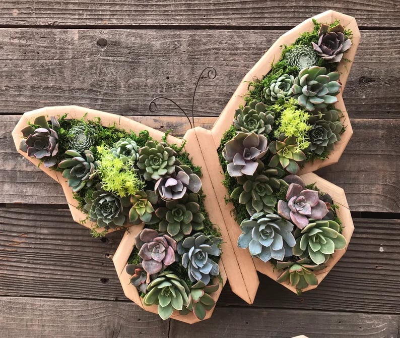 🦋Wooden Garden Arrangements-faux succulent wall planter