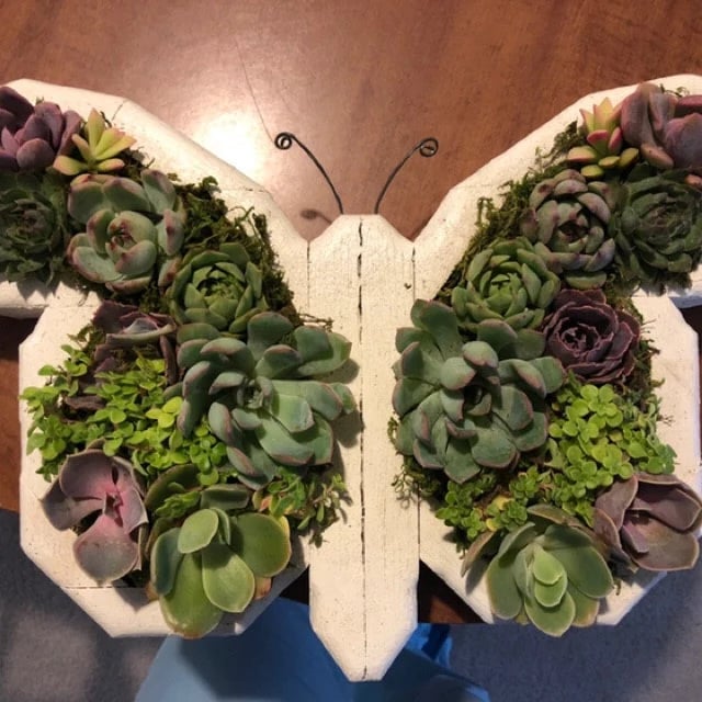 🦋Wooden Garden Arrangements-faux succulent wall planter