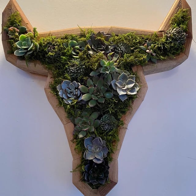 🦋Wooden Garden Arrangements-faux succulent wall planter