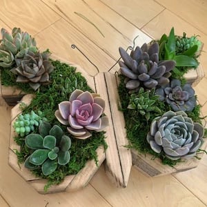 🦋Wooden Garden Arrangements-faux succulent wall planter