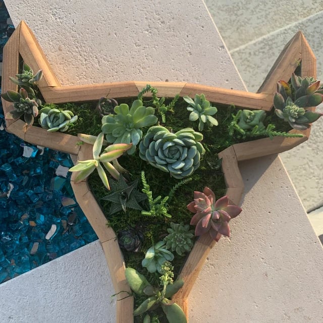 🦋Wooden Garden Arrangements-faux succulent wall planter