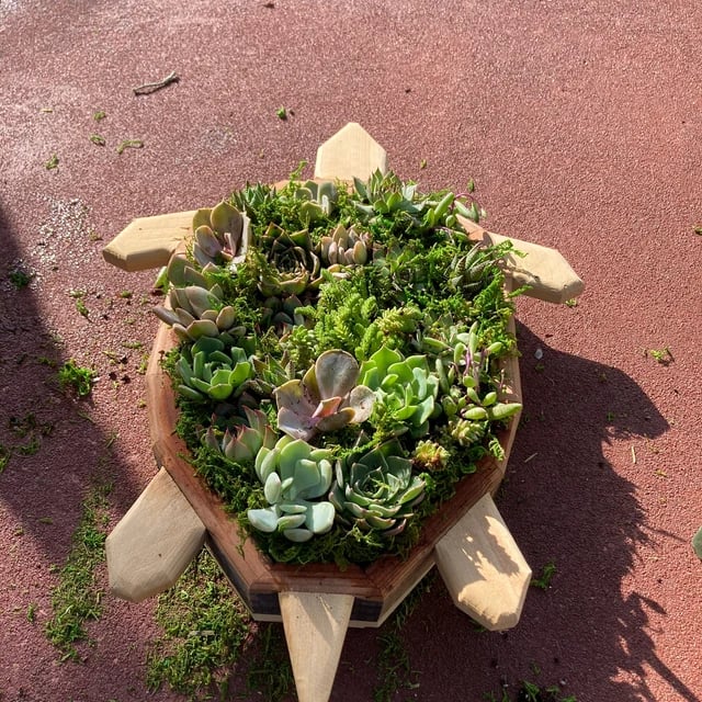 🦋Wooden Garden Arrangements-faux succulent wall planter