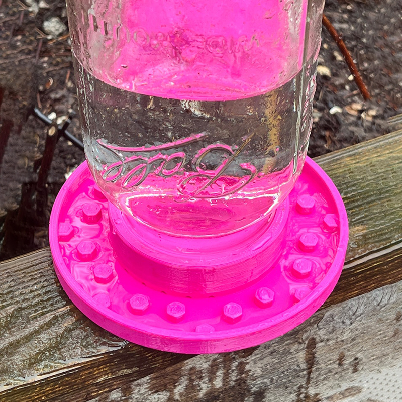 🐝Bee feeder for regular mason jars