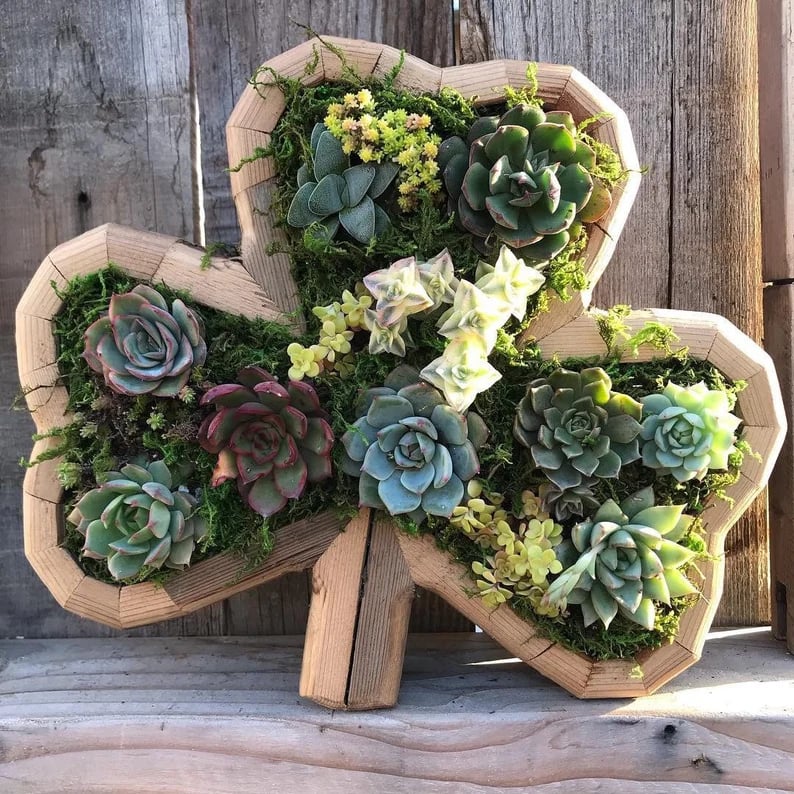 🦋Wooden Garden Arrangements-faux succulent wall planter