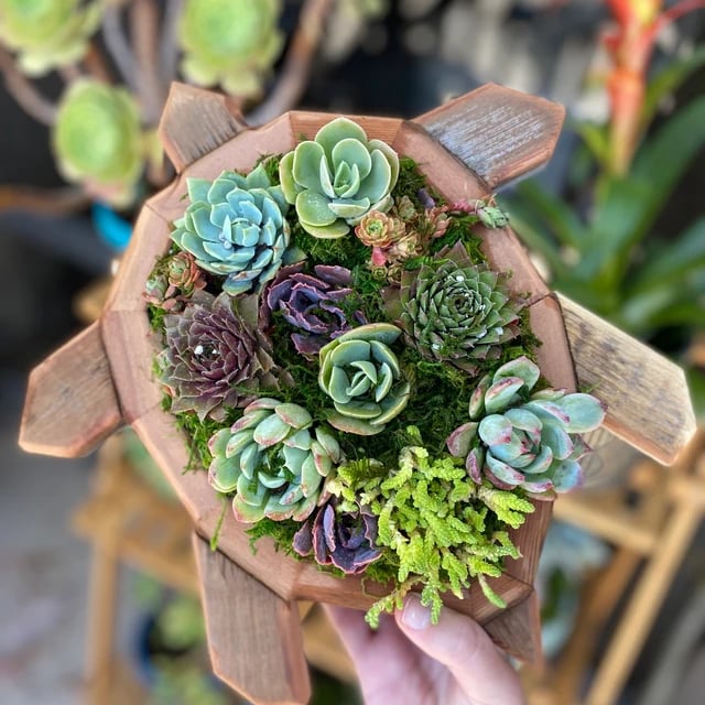 🦋Wooden Garden Arrangements-faux succulent wall planter