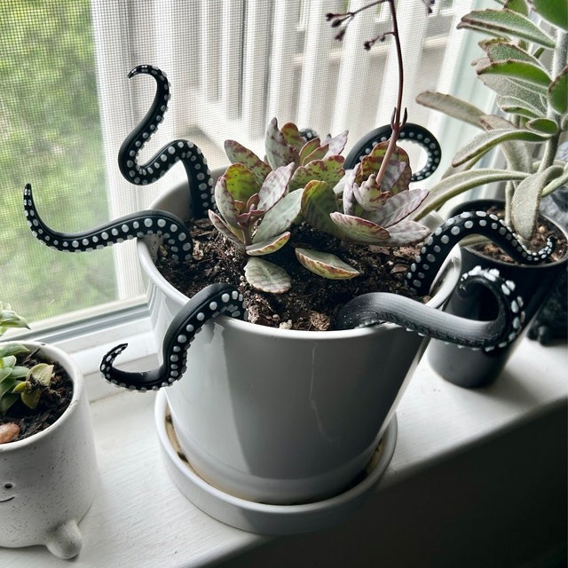 House Plant Accessories Decor - Set of 7 Sea monster Tentacles