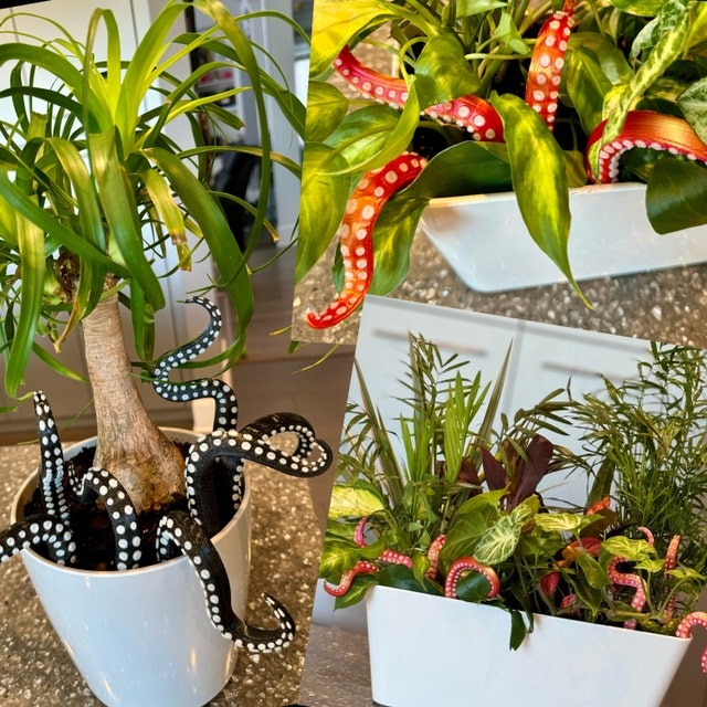 House Plant Accessories Decor - Set of 7 Sea monster Tentacles