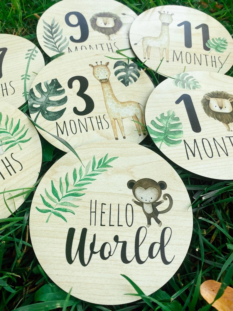 Hello World Monthly Milestone Cards-Newborn Baby Gift
