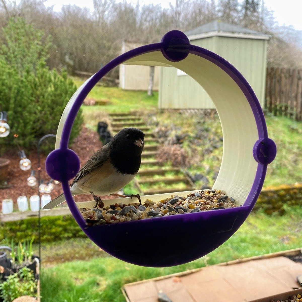 Window Bird Feeder House 
