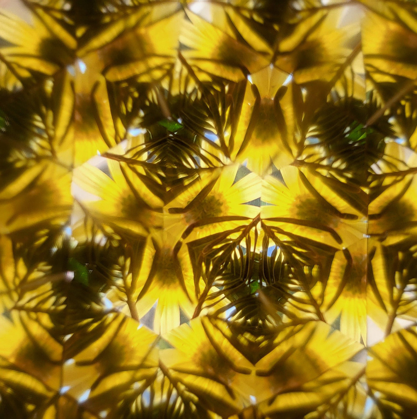 Garden Toys For Kids，Flower Kaleidoscope