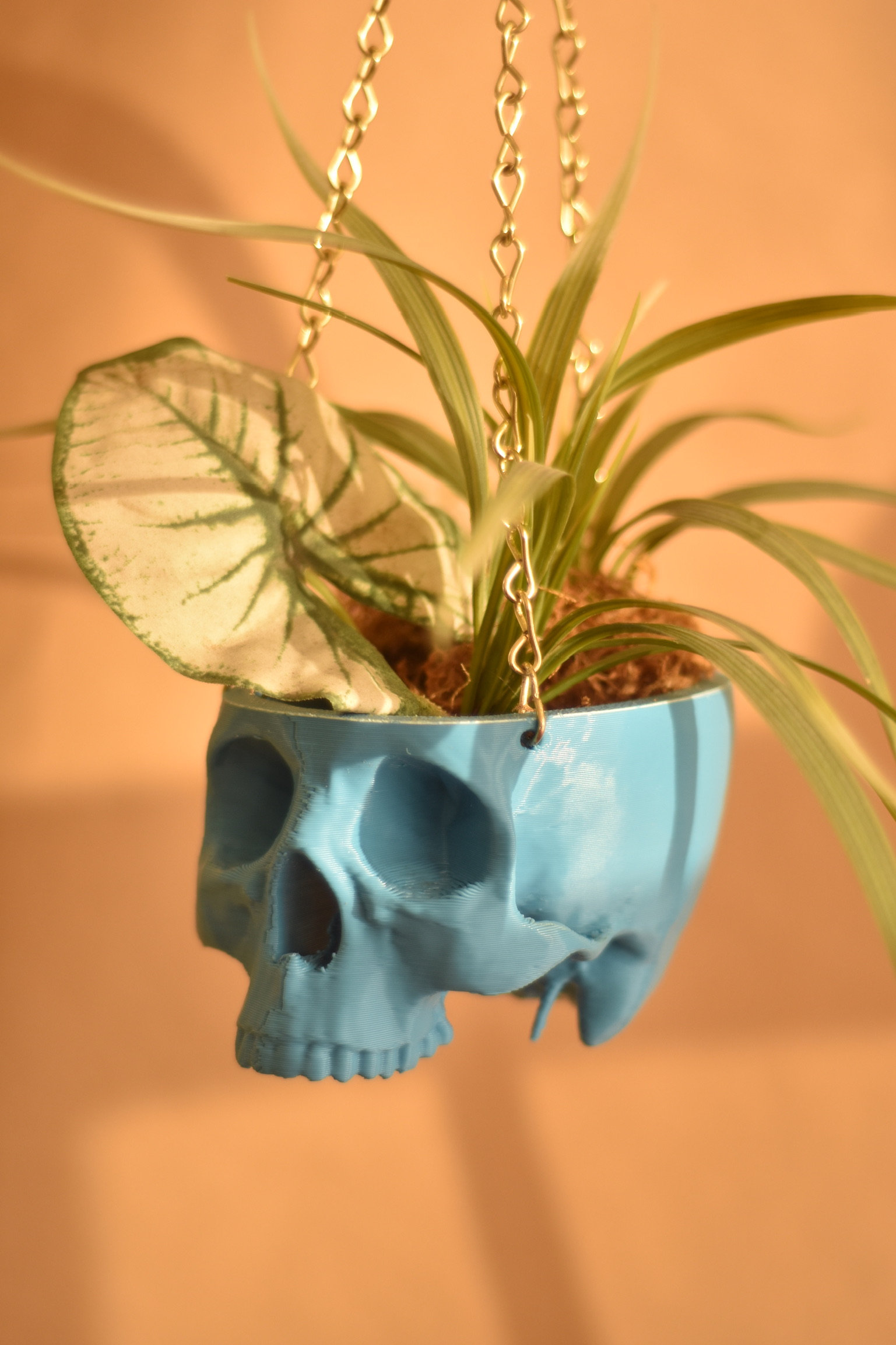 Halloween Decor，Hanging Planter Skull
