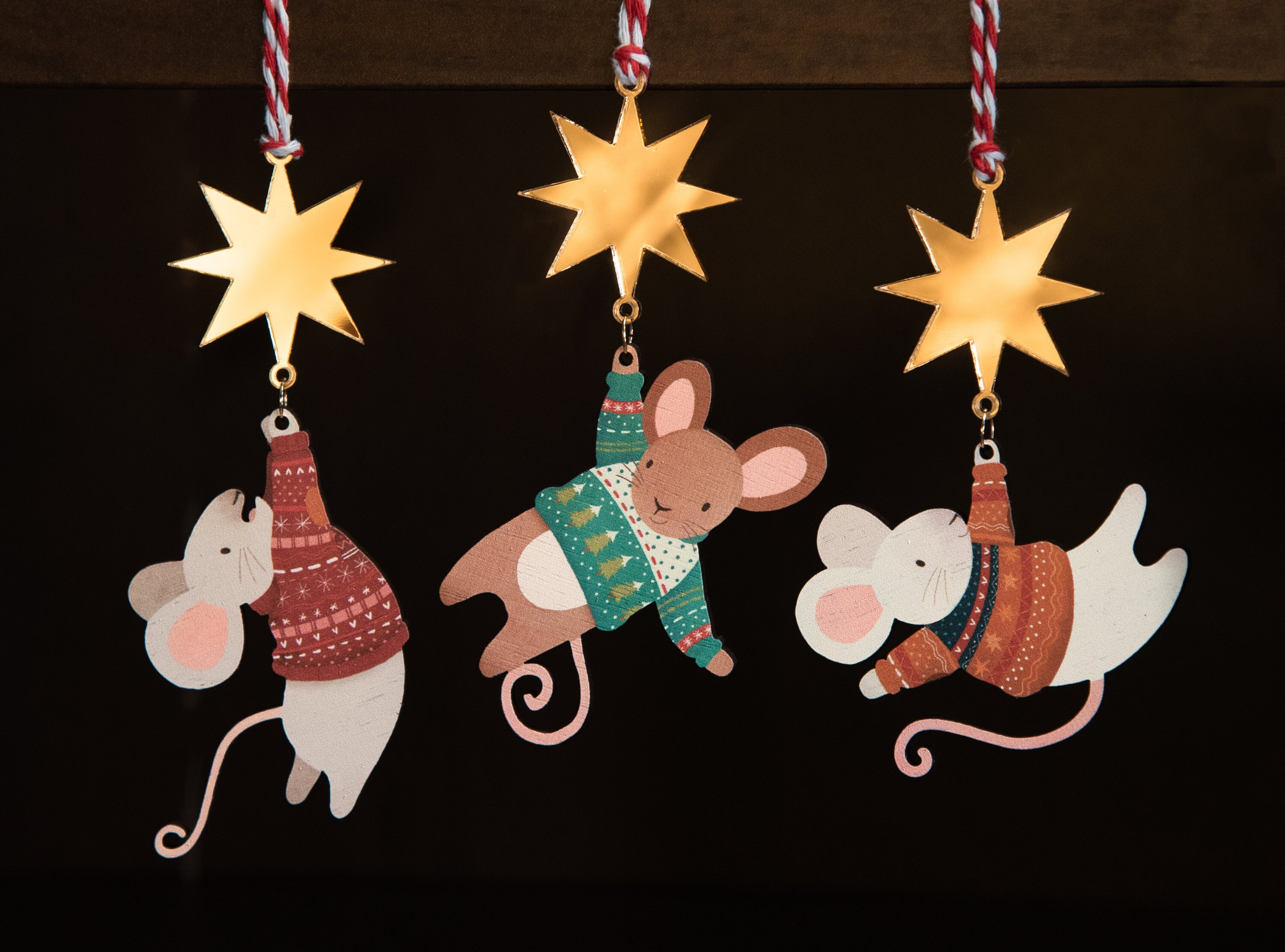✨Wooden Cute Animal Christmas Decorations✨