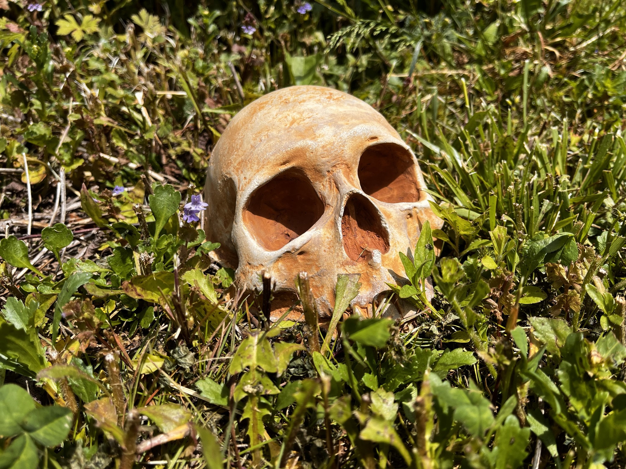 Creepy Garden Decor, Garden Skull