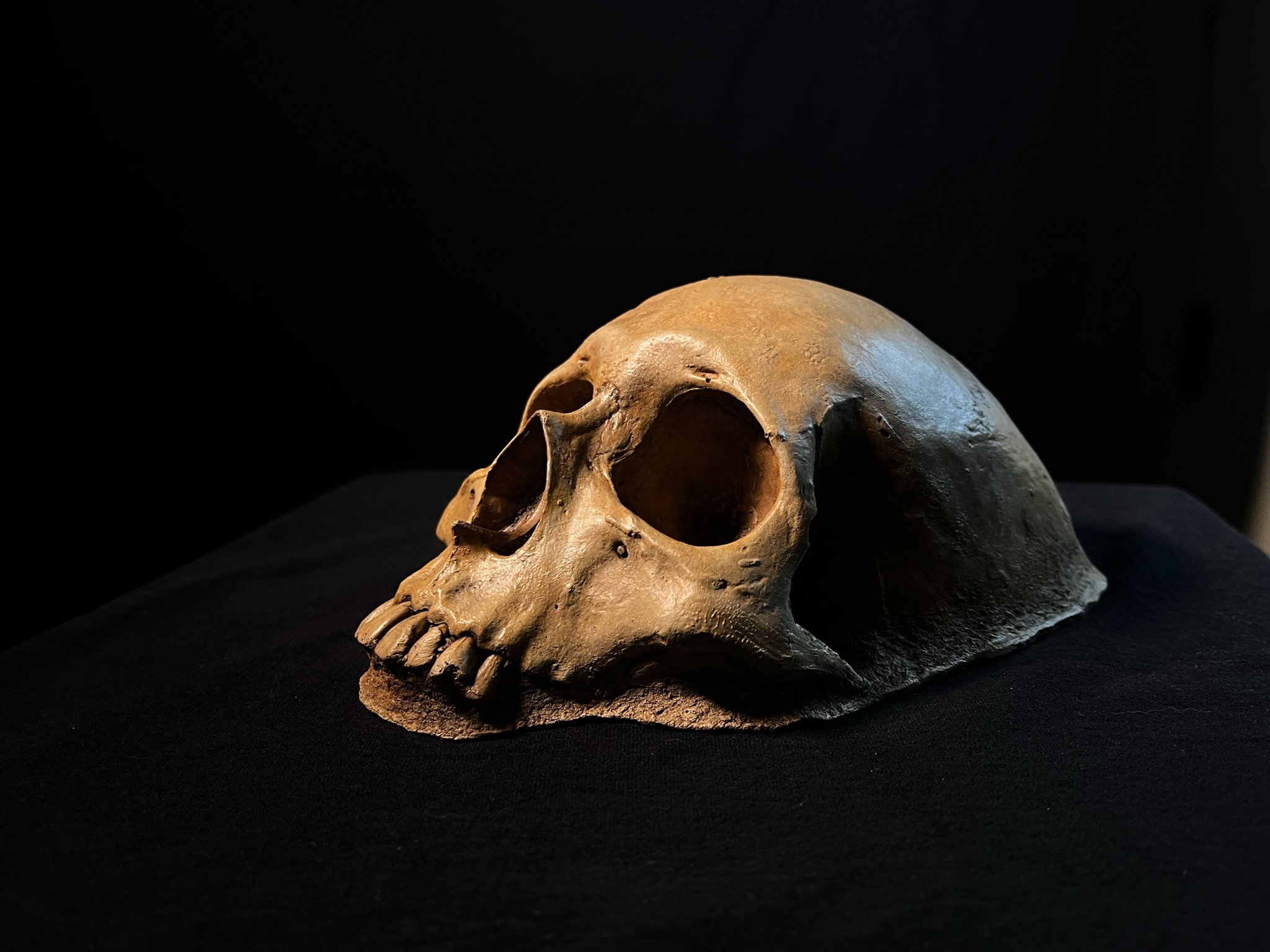 Creepy Garden Decor, Garden Skull