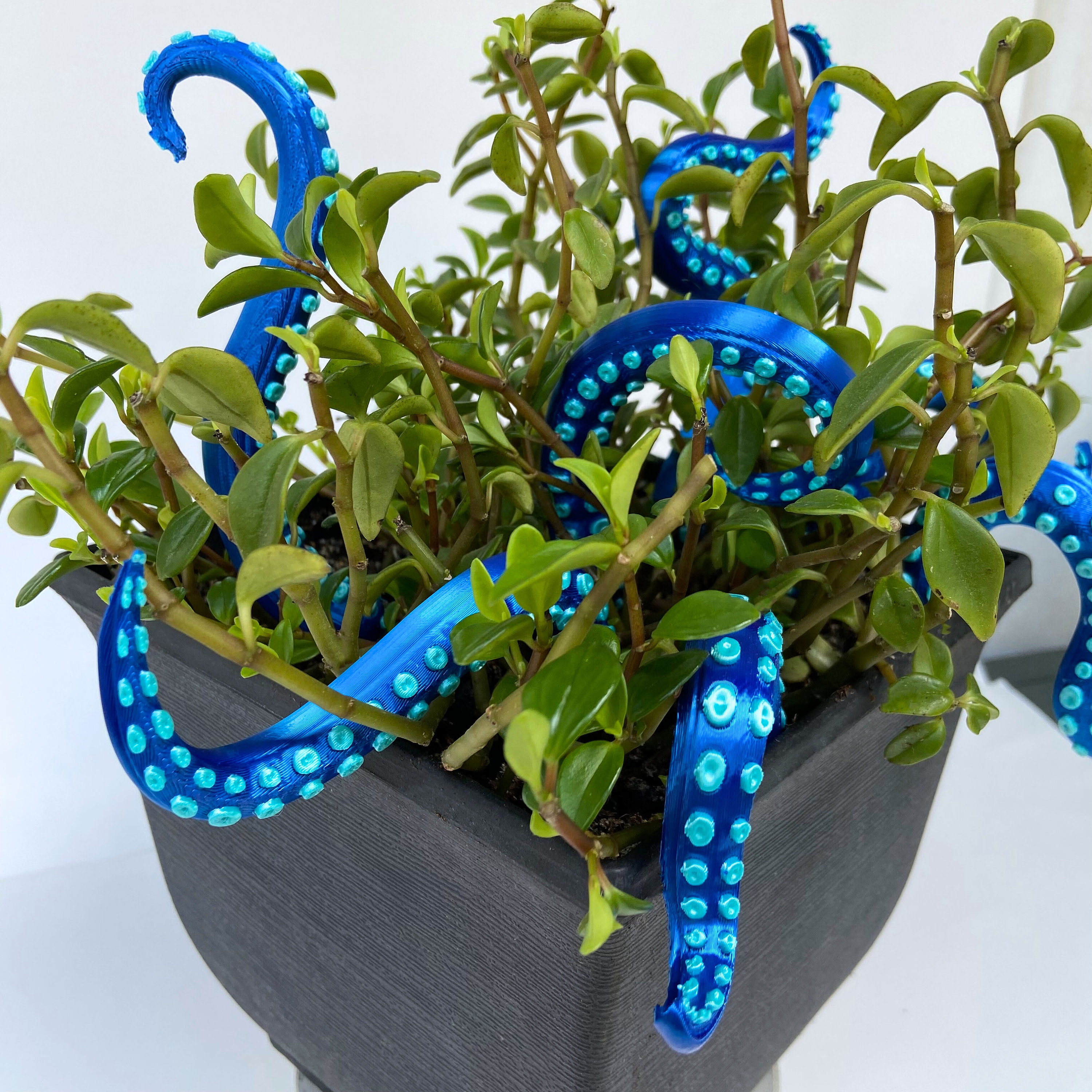 House Plant Accessories Decor - Set of 7 Sea monster Tentacles