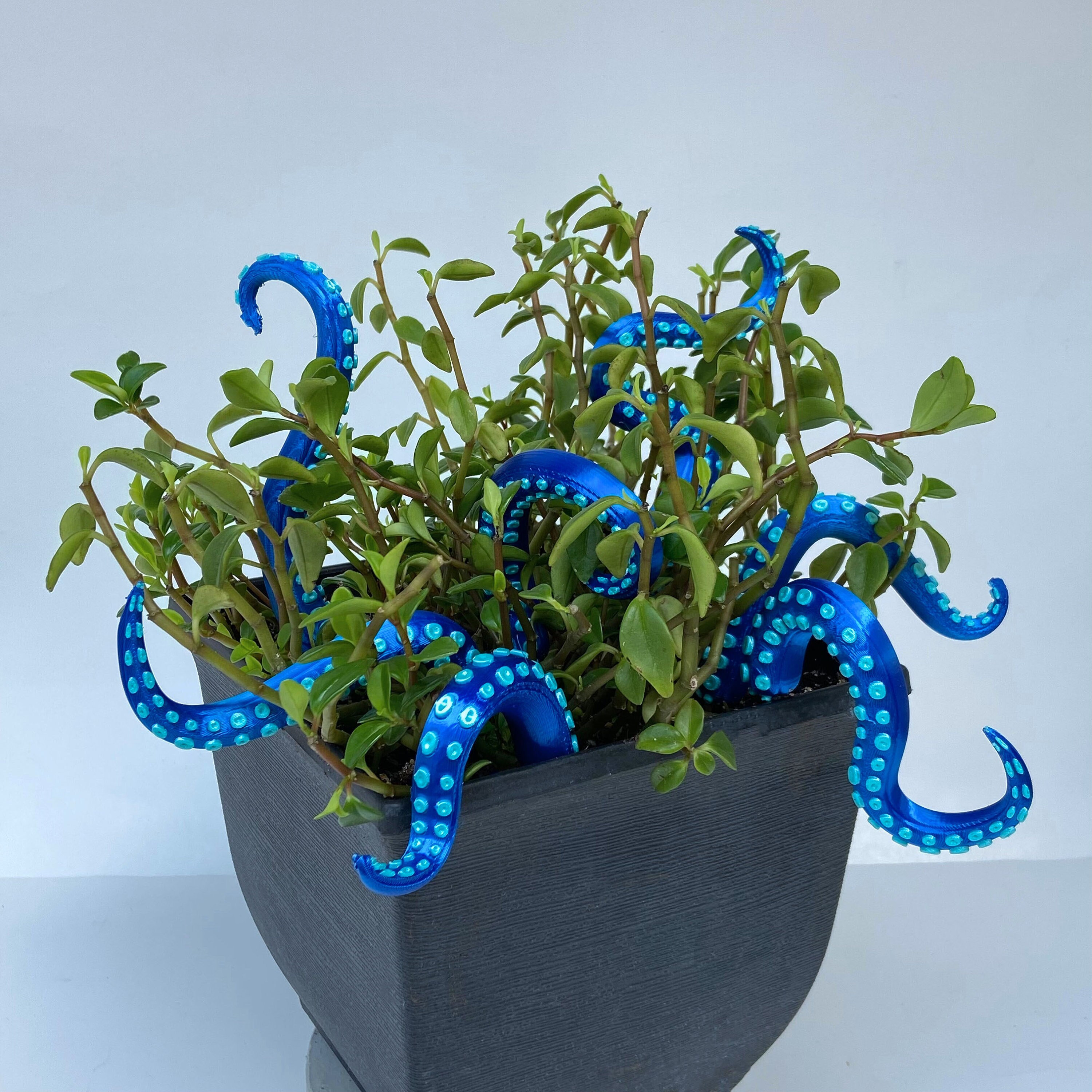 House Plant Accessories Decor - Set of 7 Sea monster Tentacles