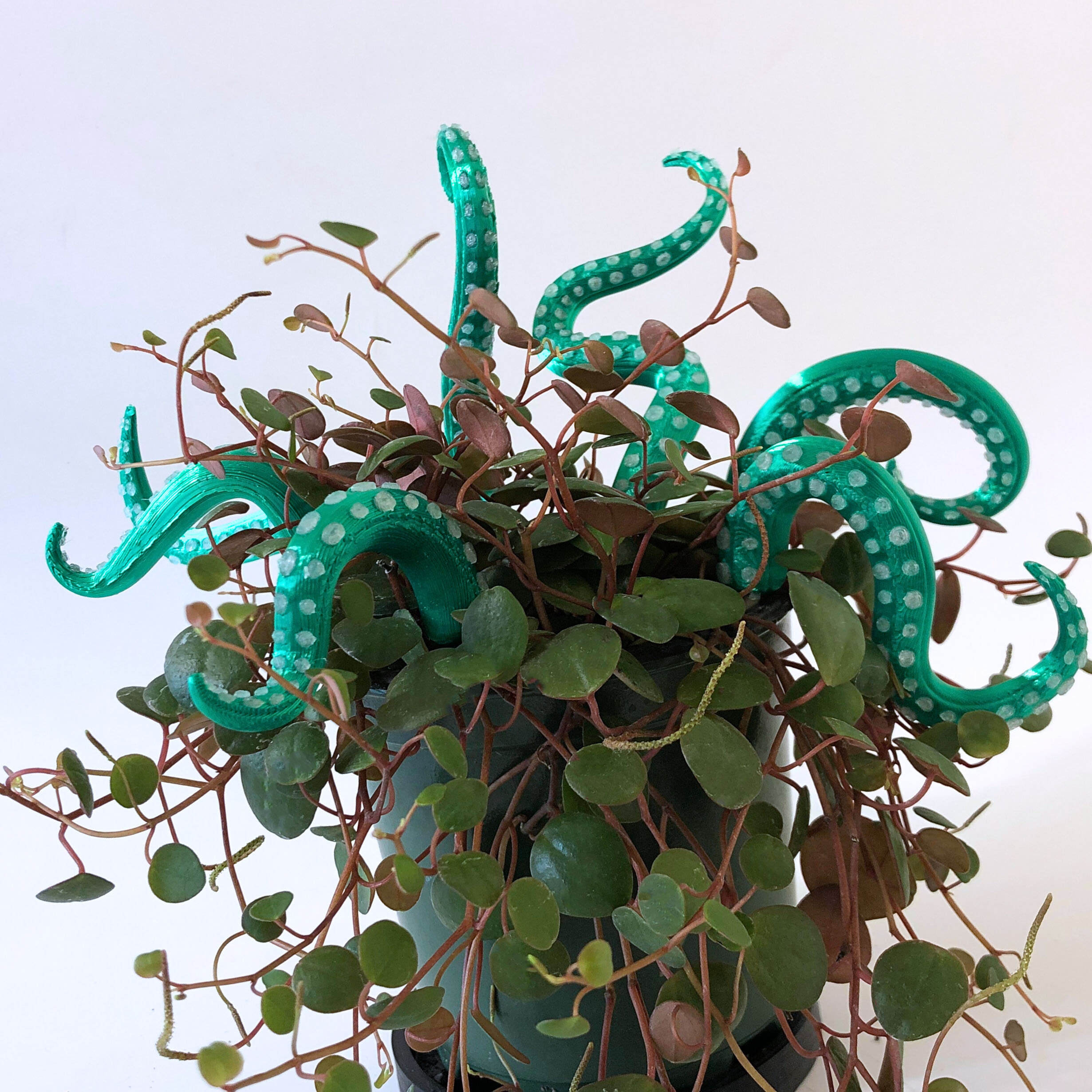House Plant Accessories Decor - Set of 7 Sea monster Tentacles