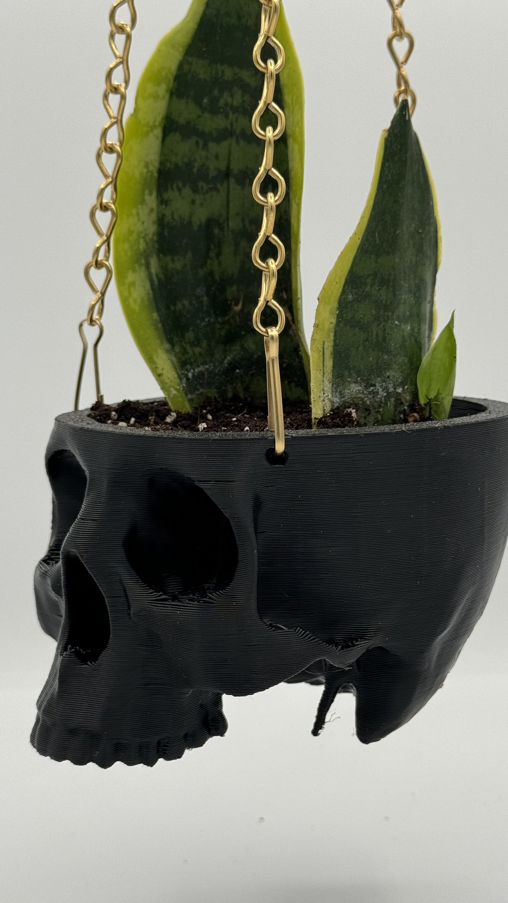 Halloween Decor，Hanging Planter Skull