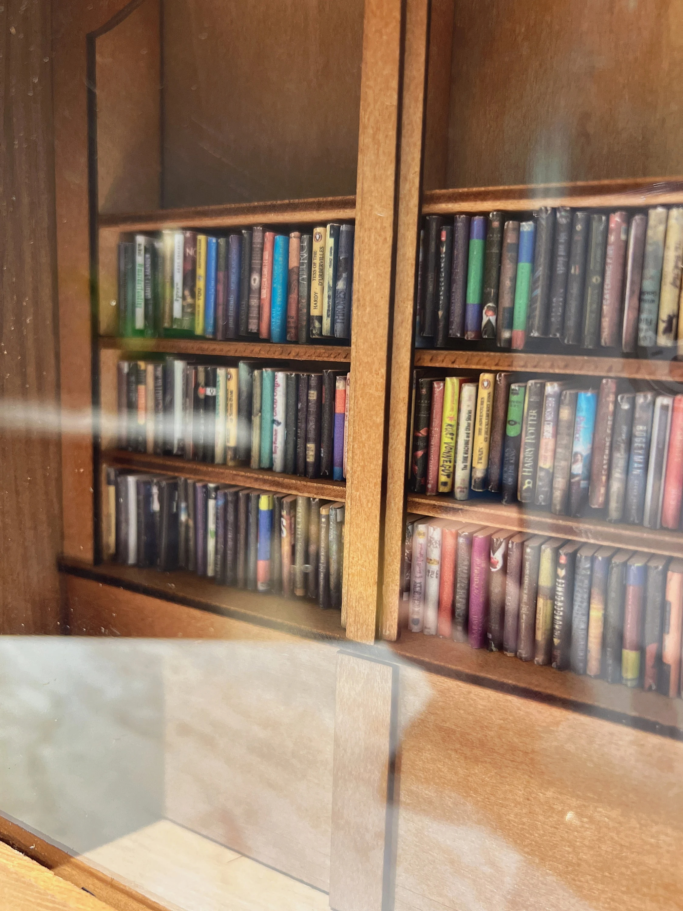 Anxiety Bookshelf - Selected Miniature Books