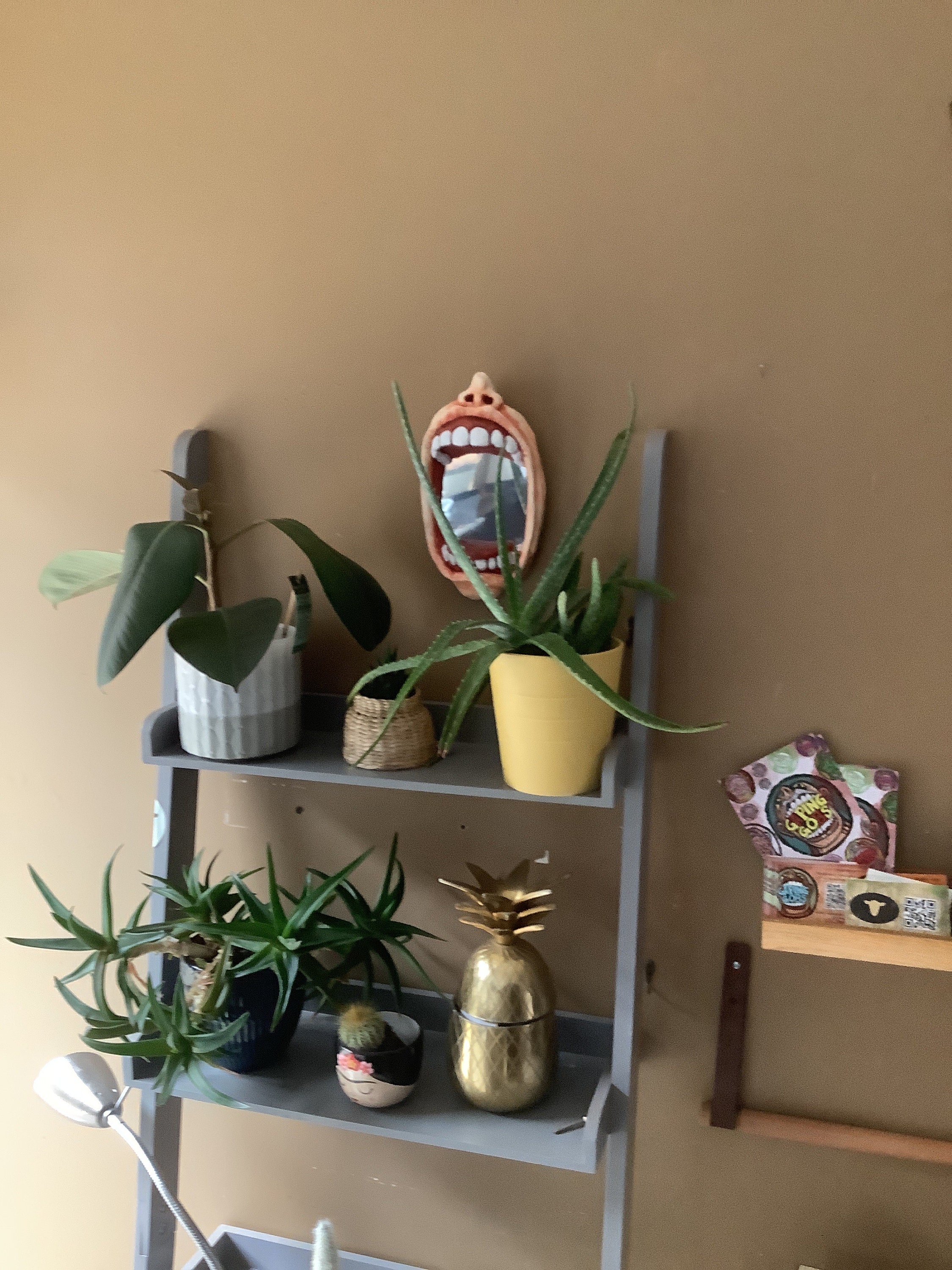 Funny Gothic Gaping Gob  Acrylic Mirror