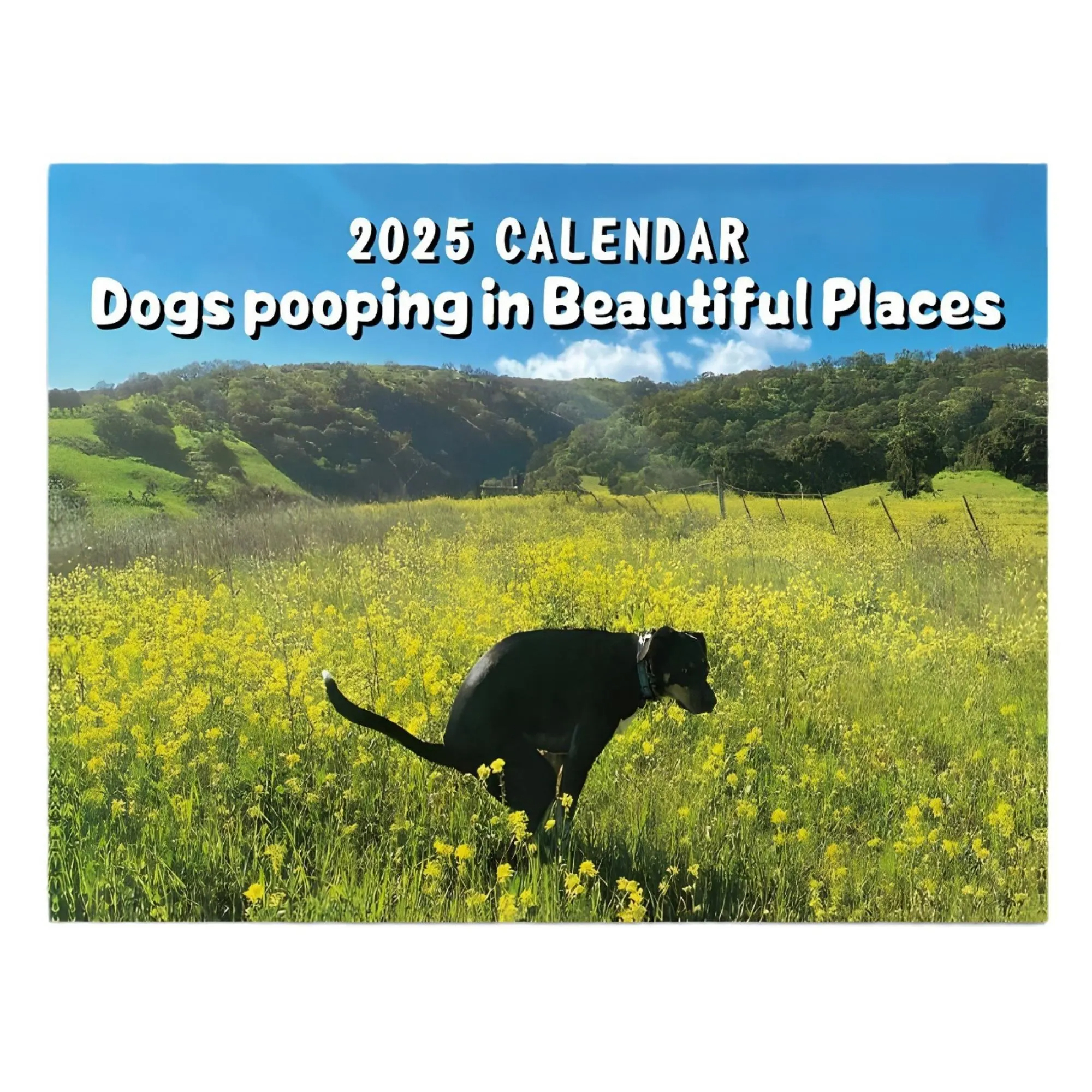✨ 2025 Wall Calendar - 12 Monthly Pooping Moments ✨