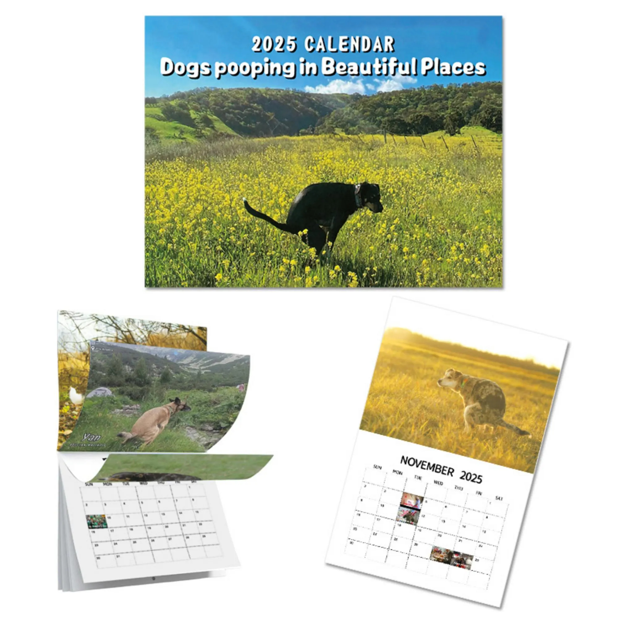 ✨ 2025 Wall Calendar - 12 Monthly Pooping Moments ✨