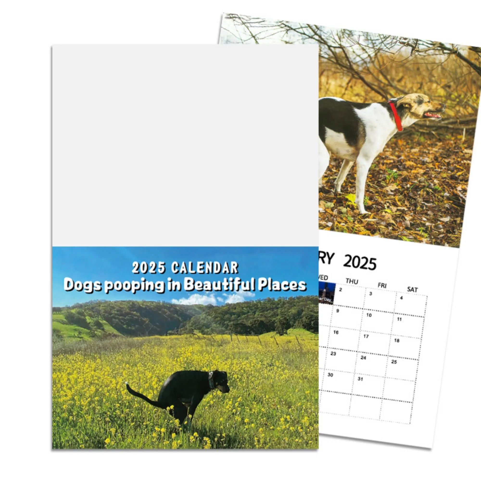 ✨ 2025 Wall Calendar - 12 Monthly Pooping Moments ✨