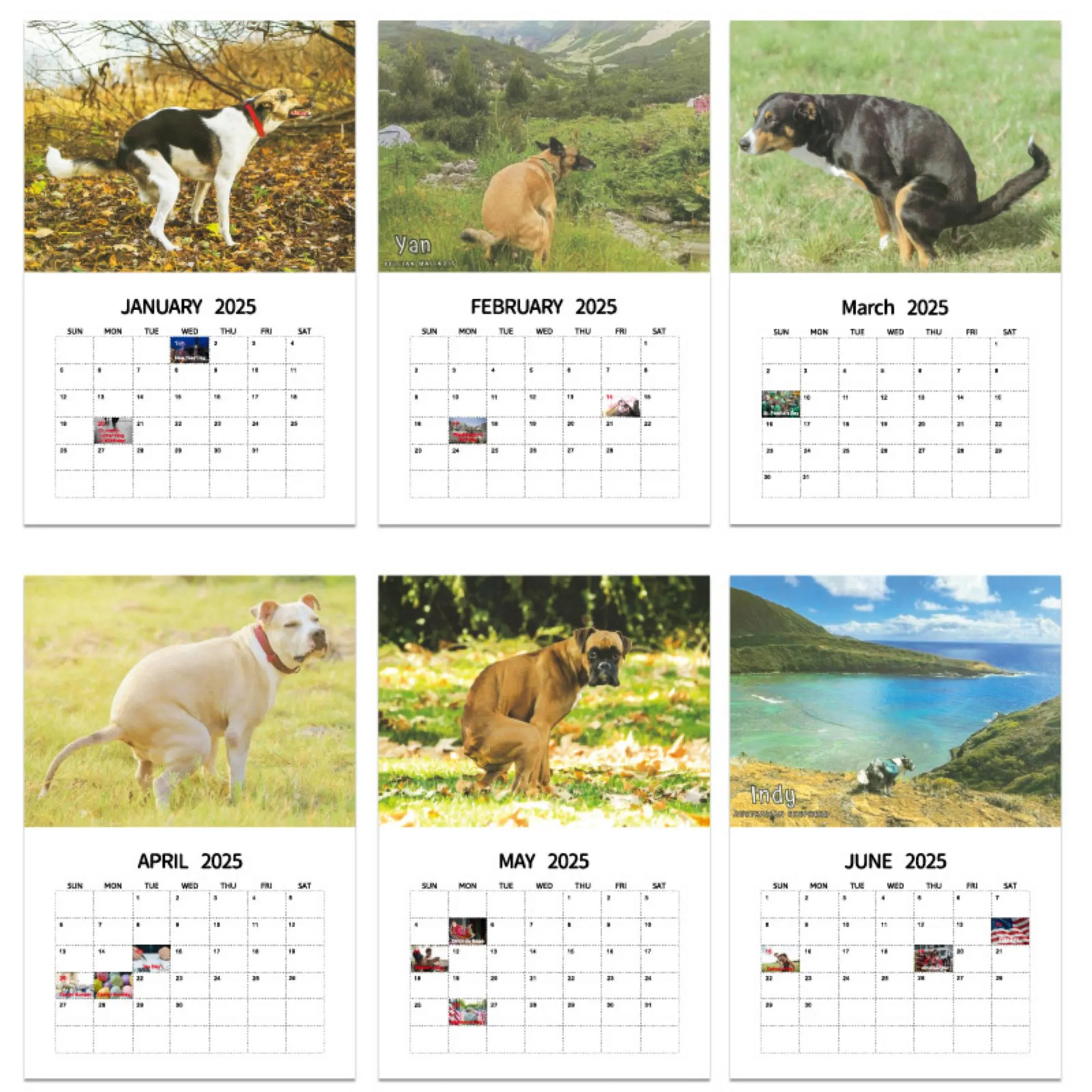 ✨ 2025 Wall Calendar - 12 Monthly Pooping Moments ✨