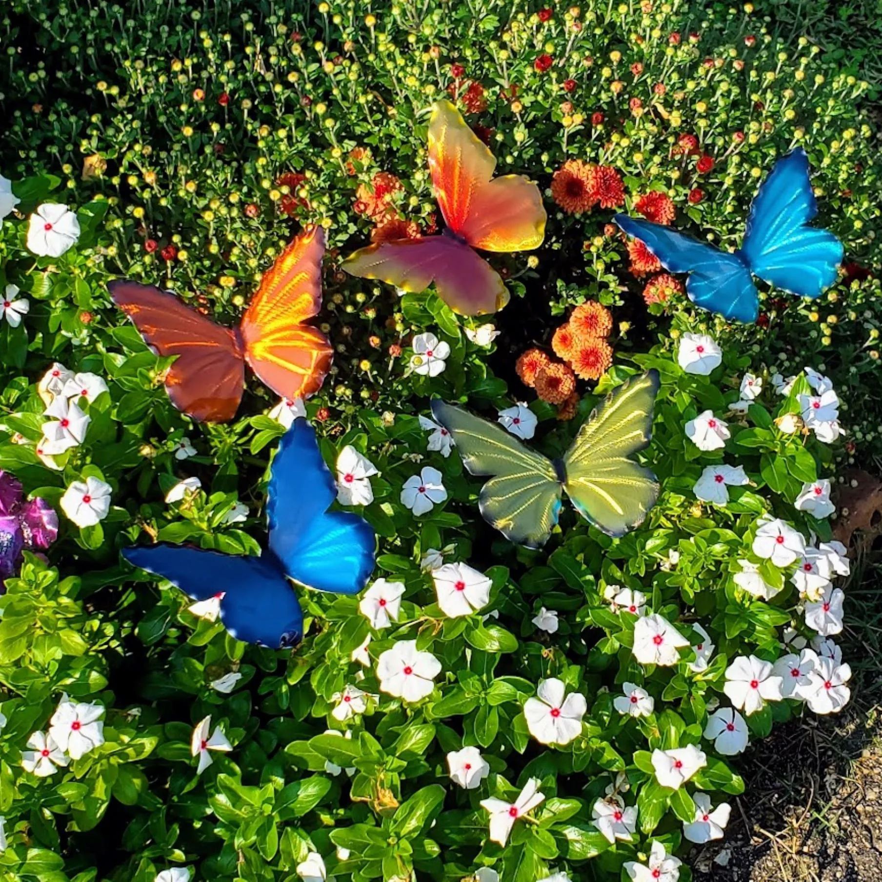 Candy Colors Butterfly Metal Garden Stake