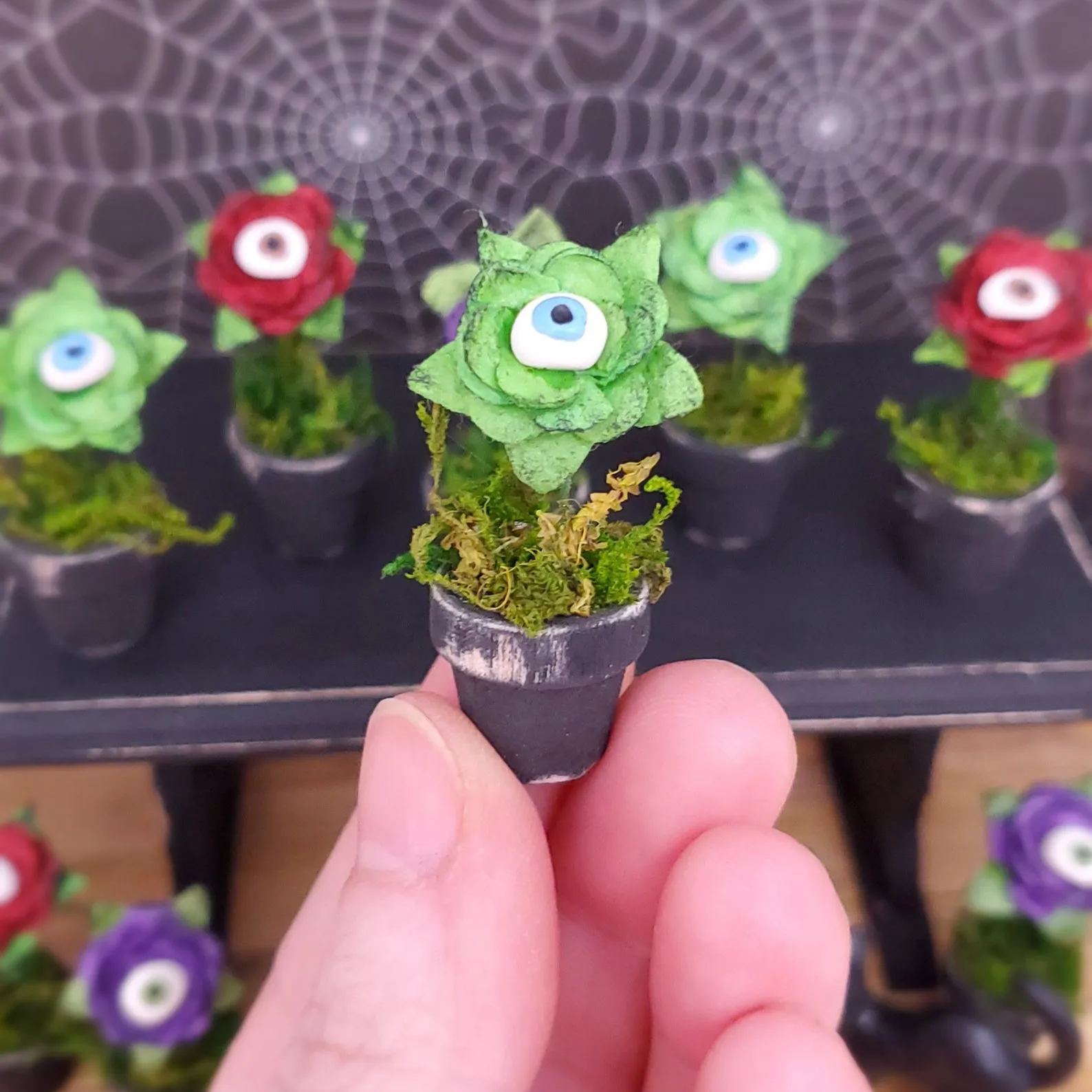 Handmade Funny Eyeball Plant