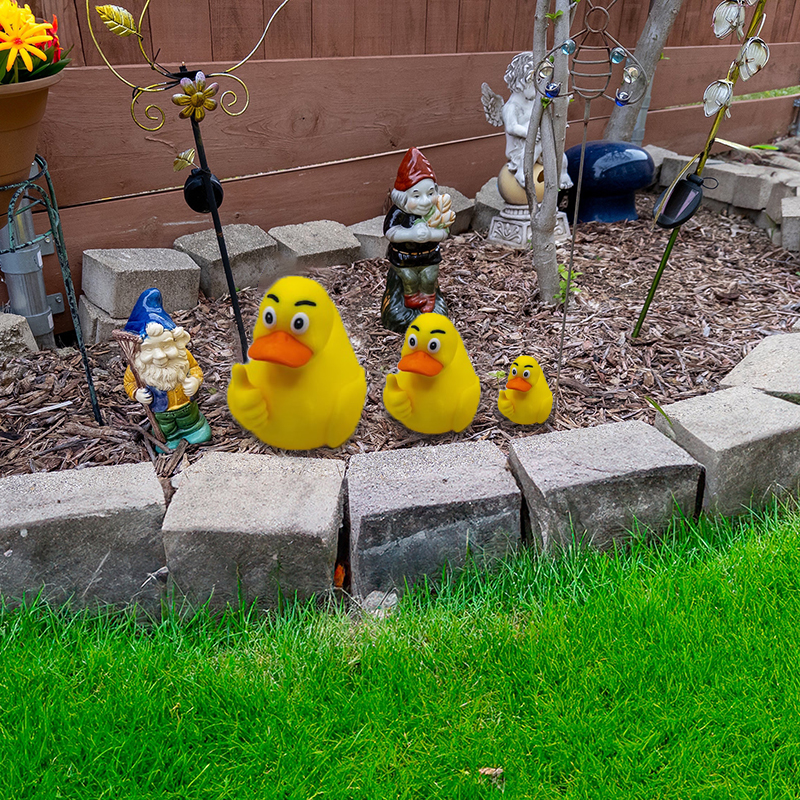 💥Last Day Promotion 50% OFF🔥- 🤣Funny Middle Finger Ducks🦆🖕