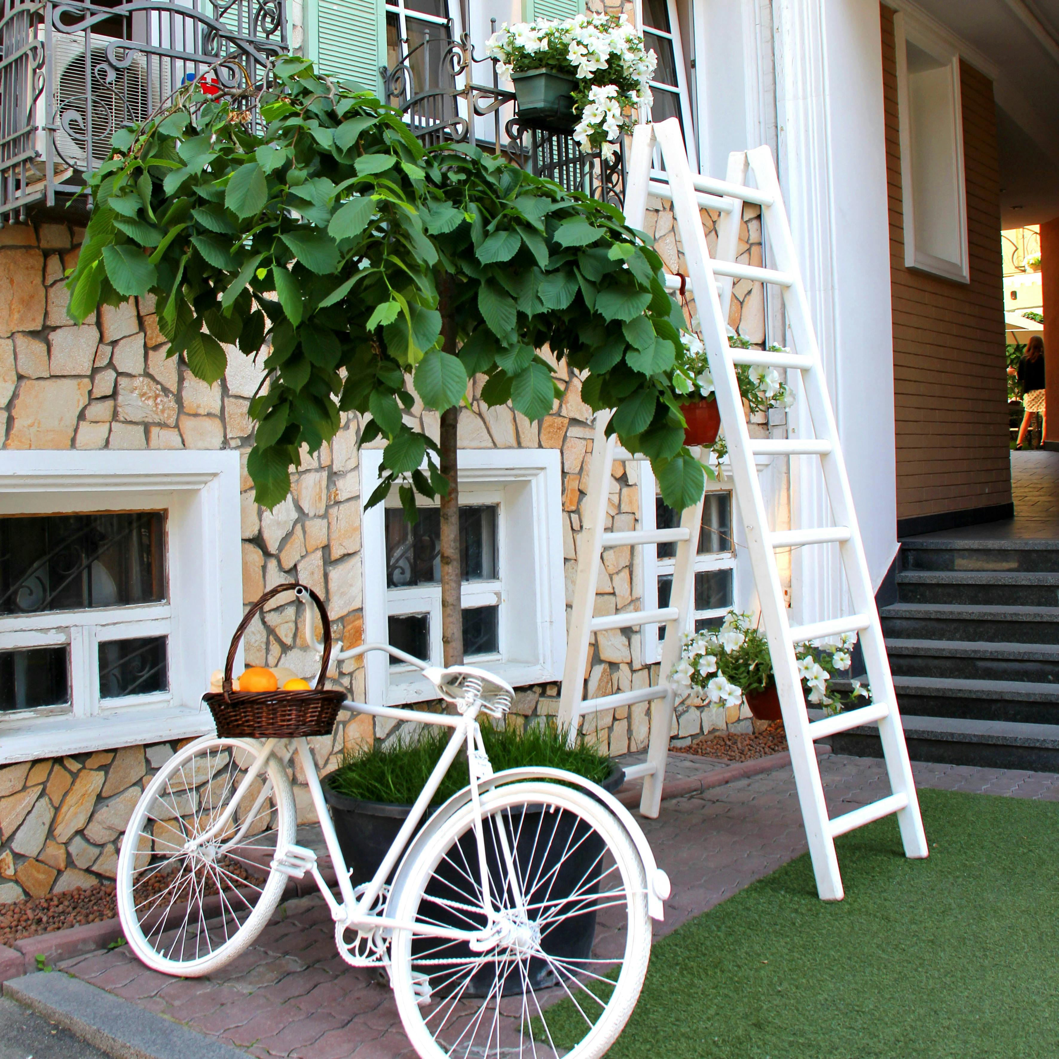 Garden Decoration