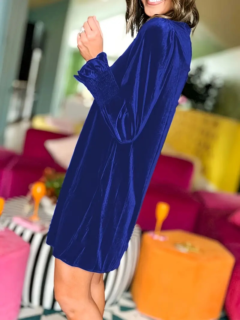 Women's Long Sleeve Crewneck Shift Velvet Dress